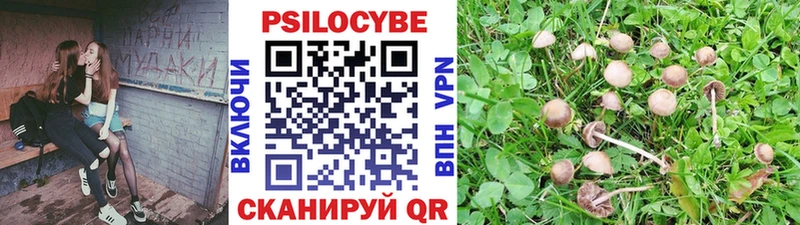 Псилоцибиновые грибы мицелий  наркота  Навашино 